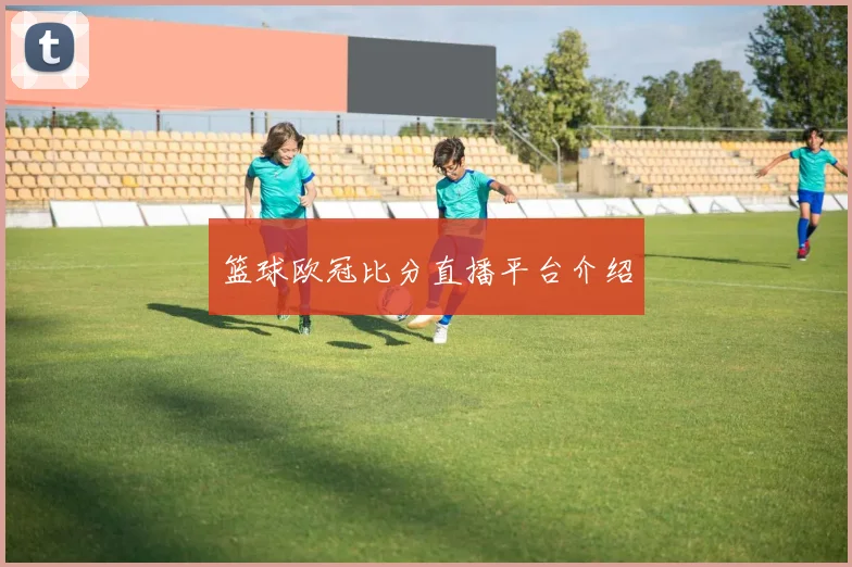 篮球欧冠比分直播平台介绍