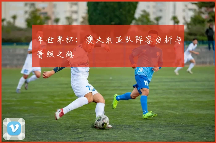年世界杯：澳大利亚队阵容分析与晋级之路