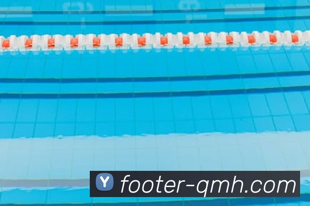 球盟会平台生态图